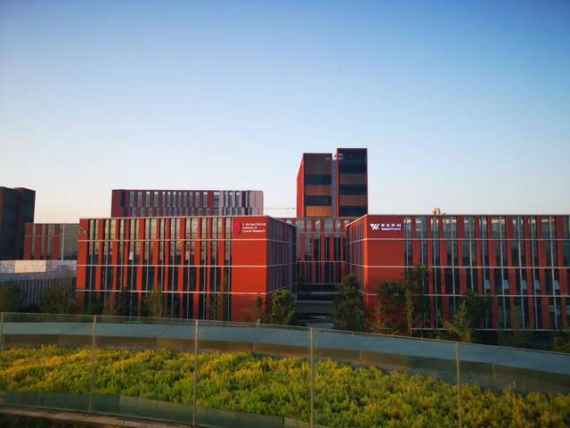 浙江加密遮阳网推荐厂家