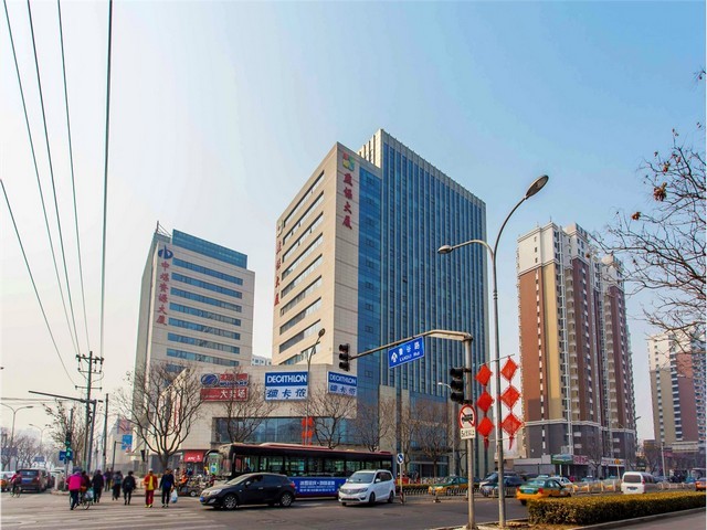 绿豆无土栽培设施