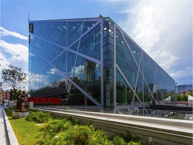 云南富源花魔芋种子育种